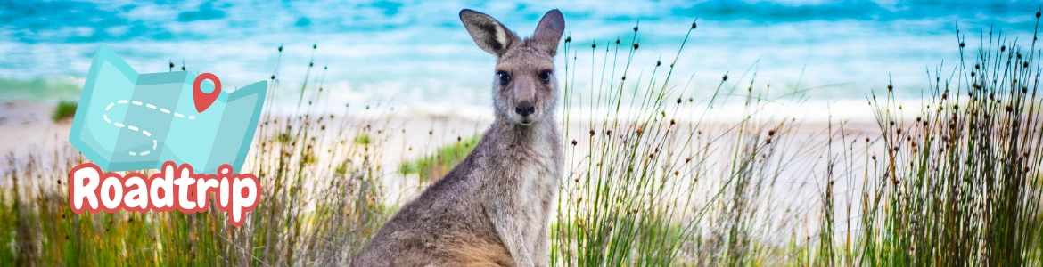 kangarooisland-roadtrip