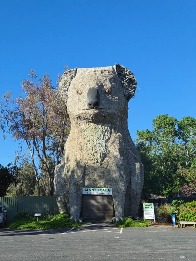 'Giant Koala' in Dadswells Bridge.