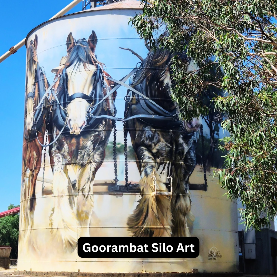 Goorambat Silo Art