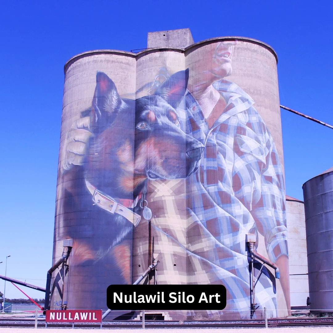 Nulawil Silo Art