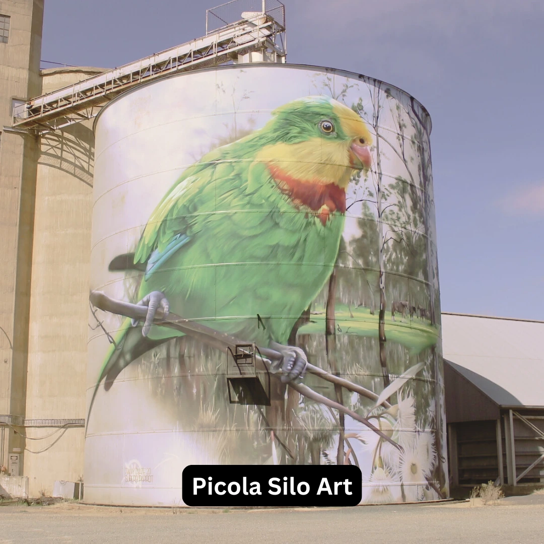 Picola Silo Art