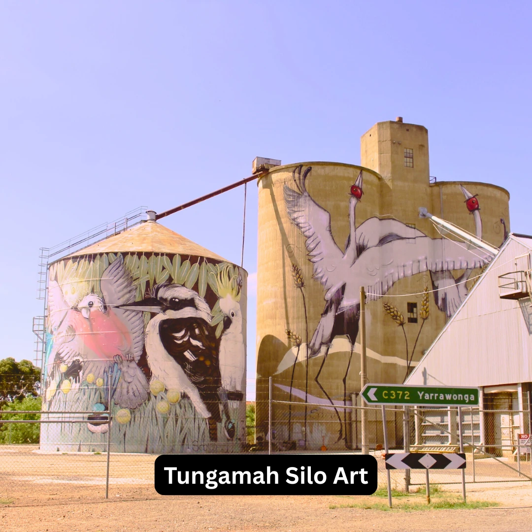 Tungamah Silo Art