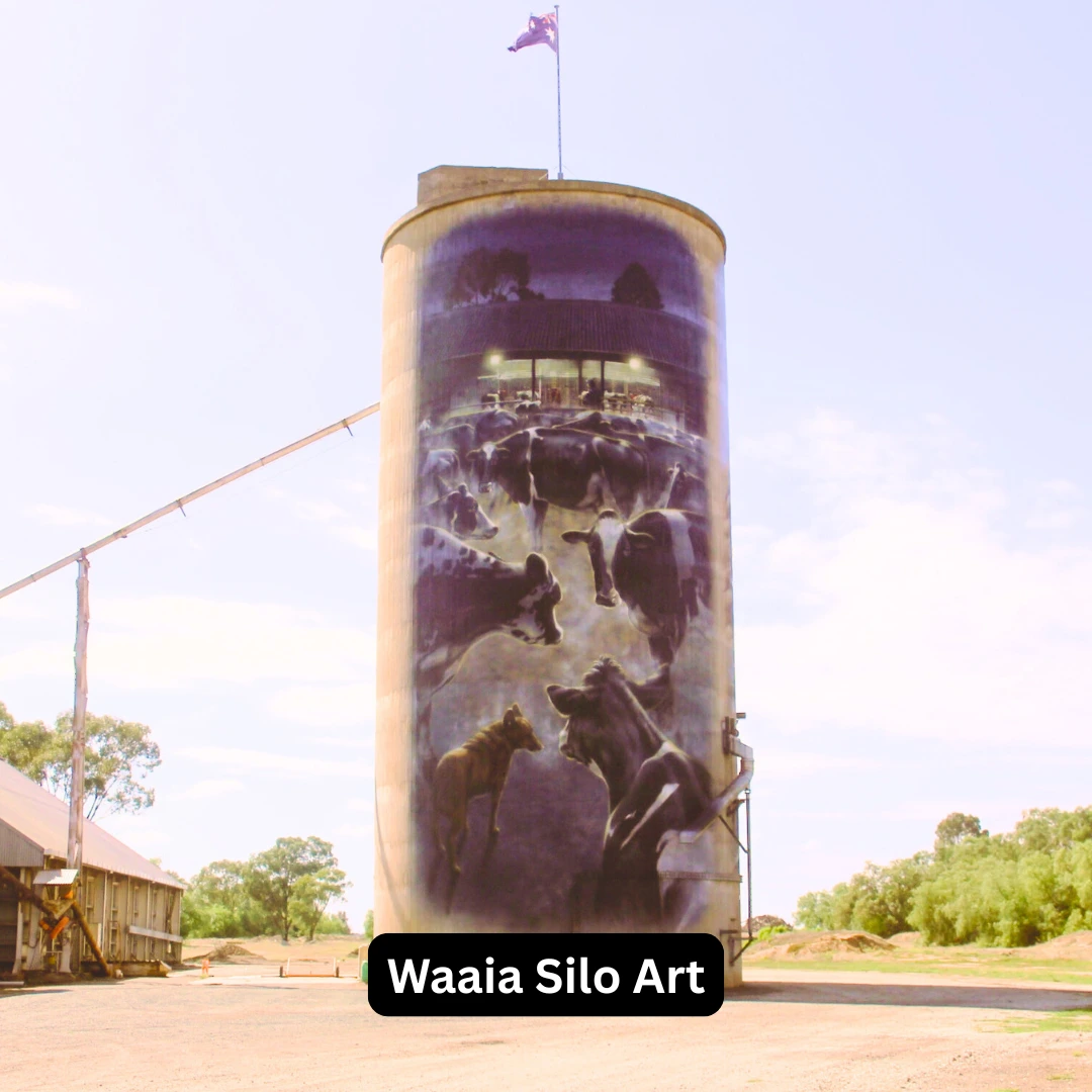 Waaia Silo Art
